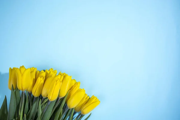 Bouquet Der Gelben Tulpe Auf Blauem Hintergrund Kopierraum Designerkarte — Stockfoto