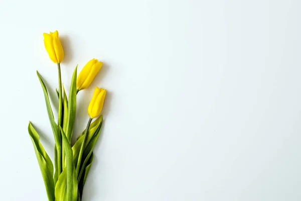 Bouquet Der Gelben Tulpe Auf Weißem Hintergrund Kopierraum Designerkarte — Stockfoto