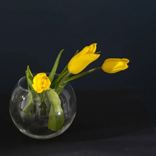 Bouquet Tulipes Jaunes Est Sur Table Face Mur Bleu Foncé — Photo