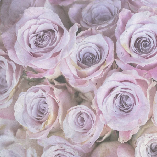 正方形 伦敦自由商店附近的各种颜色 锡瓶中的大花束 粉红色的玫瑰 有质感的老式纸张背景 正方形 — 图库照片