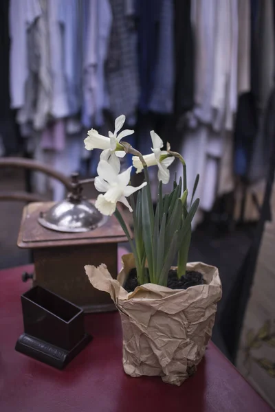 London February 2020 Spitalfields Flea Market White Daffodils Pot Wrapped — Stock Photo, Image