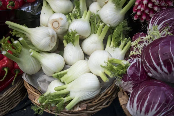 Mogna Färska Fänkål Korg Till Salu Lantbruksmarknad — Stockfoto