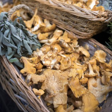 Çiftçi pazarında huş ağacından yapılma kutularda çeşitli mantar türleri satılıyor. Chantereller de dahil.