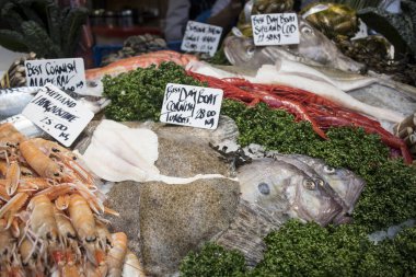 Yerel pazarda satılık çeşitli deniz ürünleri. Cornish Turbot hızlı büyüyen ve güçlü bir balıktır. Langoustine Shetiano
