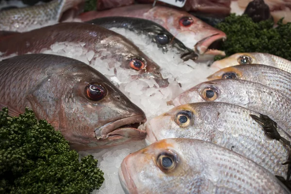 Verschiedene Arten Von Meeresfrüchten Zum Verkauf Auf Dem Lokalen Markt — Stockfoto