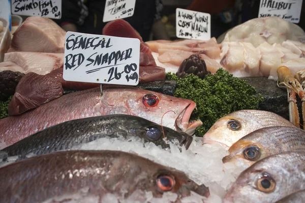 Vari Tipi Frutti Mare Vendita Nel Mercato Locale Dentice Rosso — Foto Stock