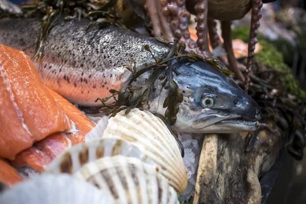 Verschiedene Arten Von Meeresfrüchten Zum Verkauf Auf Dem Lokalen Markt — Stockfoto
