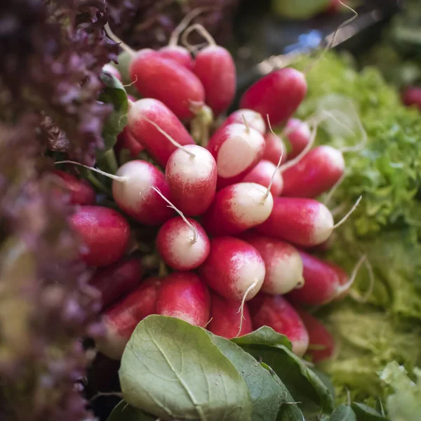 Diferentes Tipos Ensalada Con Etiquetas Precios Para Venta Borough Market — Foto de Stock