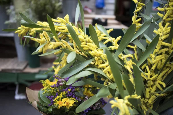 Fluffy Acacia Een Rieten Mandje Koop Een Bloemenwinkel — Stockfoto