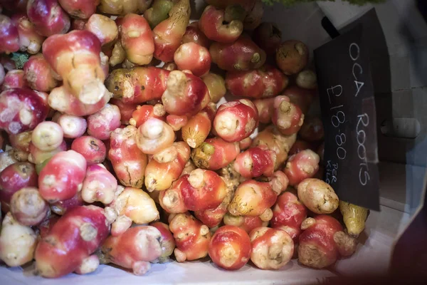 Oca Root Sale Farmer Market — Stock Photo, Image