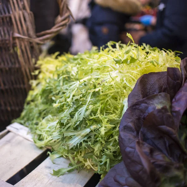 Insalata Frisee Con Lattuga Quercia Rossa Sul Banco Mercato Contadino — Foto Stock