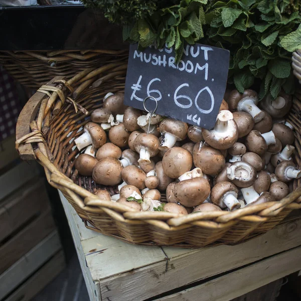 在农贸市场销售的桦树树皮盒中的各种蘑菇 包括香奈儿Portobello蘑菇 — 图库照片