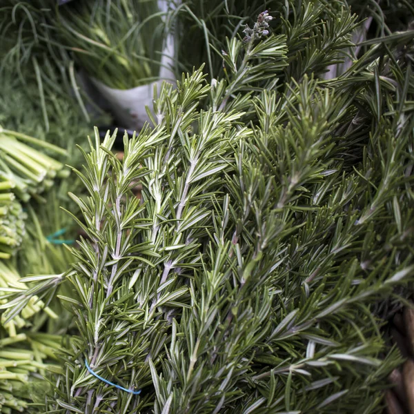 Fresh Bunches Rosemary Counter Sale Farmers Market Squere Frame — Stock Photo, Image