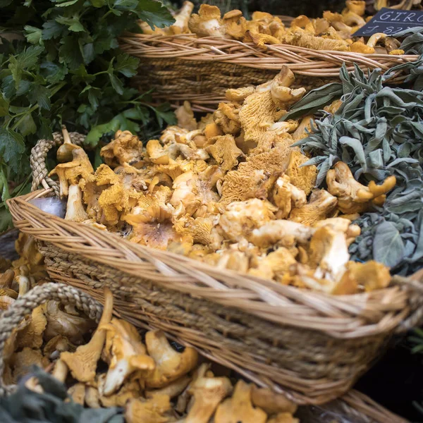 Verkauf Verschiedener Pilzarten Birkenrindenkästen Auf Dem Bauernmarkt Unter Anderem Pfifferlinge — Stockfoto