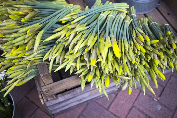 Unraveled Daffodils Box Sale Farmers Market — Stock Photo, Image