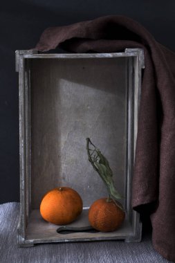 İki kurutulmuş mandalina, siyah arka planda ters dönmüş ahşap bir dekoratif kutuda. Boşluğu kopyala
