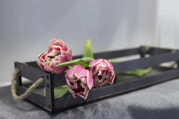 Три Розовых Тюльпана Лежат Деревянной Коробке Карту Дизайн — стоковое фото