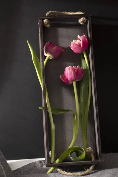 Trois Tulipes Roses Tiennent Dans Une Boîte Bois Carte Conception — Photo