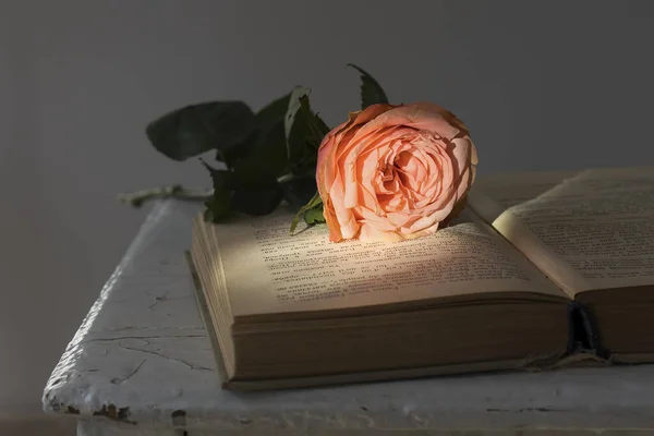 Rosa Rosa Está Libro Vintage — Foto de Stock