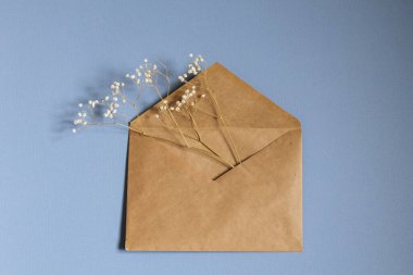 Mavi bir arka planda boş bir zarfın içinde kuru bir çigila. Boşluğu kopyala