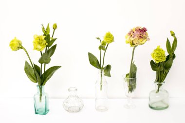 Beyaz arka planda şeffaf yuvarlak vazolar ve şişeler içinde yeşil ve pembe Terry Lisianthus buketi. Gelin buketi