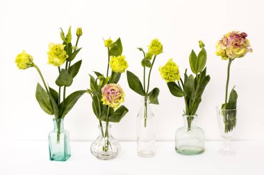 Beyaz arka planda şeffaf yuvarlak vazolar ve şişeler içinde yeşil ve pembe Terry Lisianthus buketi. Gelin buketi