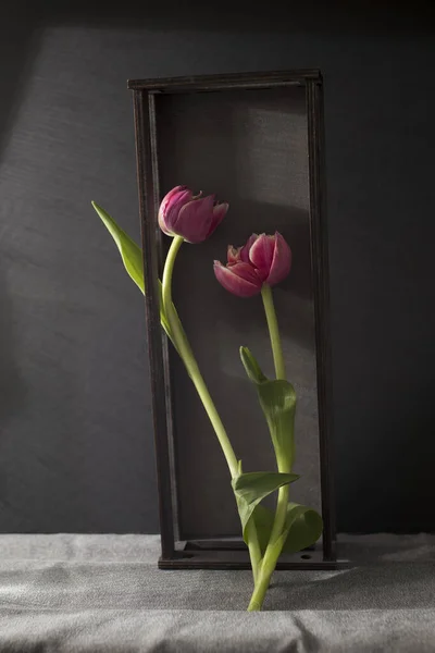 Trois Tulipes Roses Tiennent Dans Une Boîte Bois Carte Conception — Photo