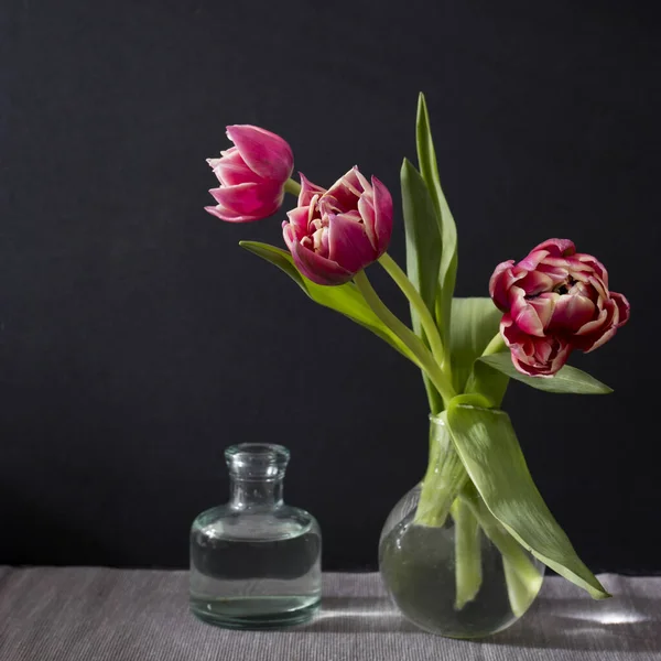 Trois Tulipes Éponge Rouge Dans Vase Rond Avec Sur Fond — Photo