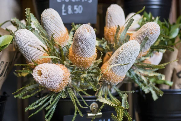 Buquê Banksia Embrulhado Papel Artesanal Bege Para Venda Uma Loja — Fotografia de Stock