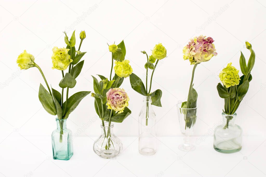 Bouquet of green and pink terry lisianthus in a transparent round vases and bottles on a white background. Bride bouquet