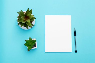 Bir fincan kahve, not defteri ve mavi arka planda kalemle ev işyeri. Ev konsepti üzerinde çalışıyorum. Üst Görünüm - Resim. Boşluğu kopyala