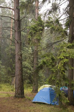 Maceralar Kamp Turizmi ve çadır manzarası manzarası çam ormanı manzarası altında Sabahları açık deniz ve gün batımında Rusya 'da yağmurlu bir günde gökyüzü