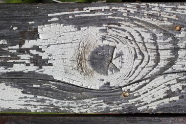 Ahşap dokular. Tahta örgü duvarı. Ahşap arka plan deseni. Büyüme halkalarını gösteriyor. Boya soyuyordum. Boşluğu kopyala