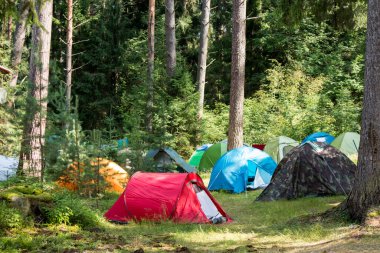 Maceralar Kamp Turizmi ve çadır manzarası manzarası çam ormanı manzarası altında Sabahları açık deniz ve gün batımında Rusya 'da yağmurlu bir günde gökyüzü