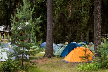 Maceralar Kamp Turizmi ve çadır manzarası manzarası çam ormanı manzarası altında Sabahları açık deniz ve gün batımında Rusya 'da yağmurlu bir günde gökyüzü