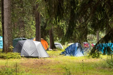 Maceralar Kamp Turizmi ve çadır manzarası manzarası çam ormanı manzarası altında Sabahları açık deniz ve gün batımında Rusya 'da yağmurlu bir günde gökyüzü