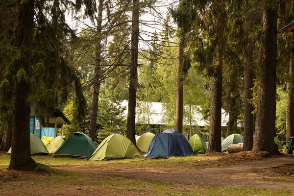 在俄罗斯的雨天 在室外水域附近的松树林景观下露营旅游和搭帐篷 — 图库照片