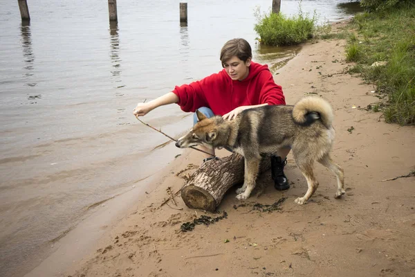 穿着红色帽衫和牛仔裤的短发女孩在河边和一条哈士奇狗玩耍 — 图库照片