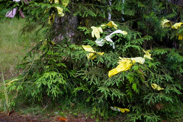橡胶手套在俄罗斯农村地区的一间房间消毒后在云杉上晒干 — 图库照片
