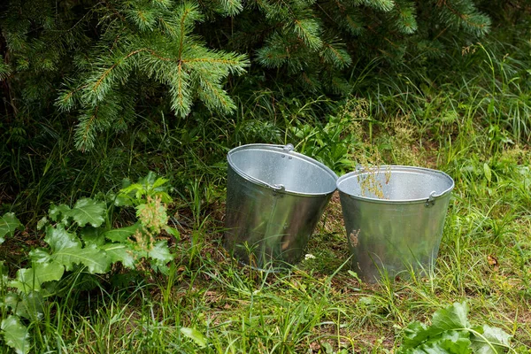 庭の端の緑の芝生には2つの空のスチールバケツがあります コンセプト — ストック写真