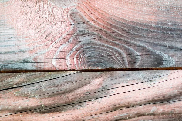 Wood texture. Lining boards wall. Wooden background pattern. Showing growth rings. Peeling paint. Copy space