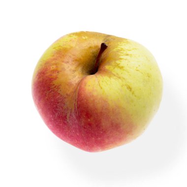 Rus çeşitliliğinin yeşil elması Bogatyr beyaz üzerine izole edildi