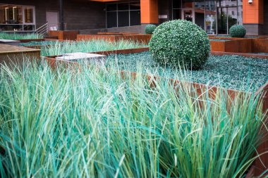 Bahçesinde suni çimenler ve bitkiler var. Boxwood ve Sedge. Bakır çarşafların dekorasyonu.