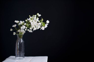 Koyu mavi bir duvara karşı vazo yerine cam bir şişede çiçek açan elma ağacının dalı. Boşluğu kopyala