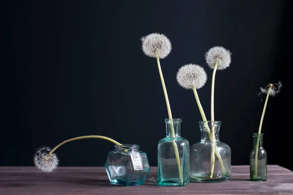 Los Dientes León Las Botellas Sobre Fondo Negro Espacio Para — Foto de Stock