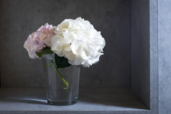Hortensia Pastel Blanche Rose Dans Vase Verre Sur Fond Vintage — Photo