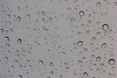 Su bardağa düşer.