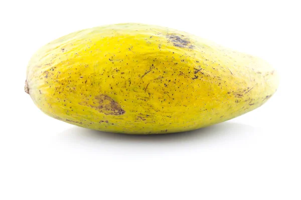 Isolasi mangga tropis segar — Stok Foto