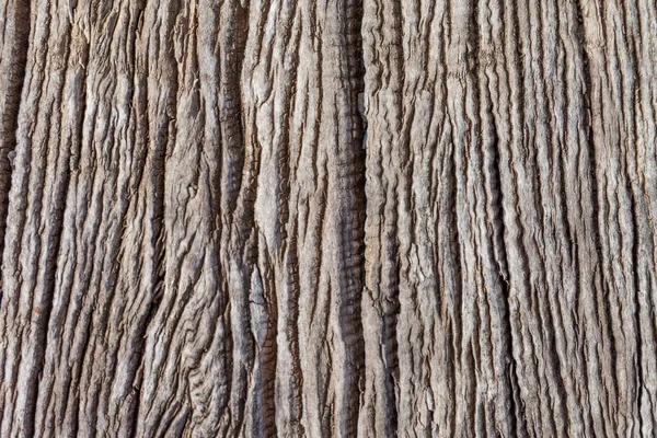 Vecchio Legno Texture Vintage Sfondo Naturale — Foto Stock