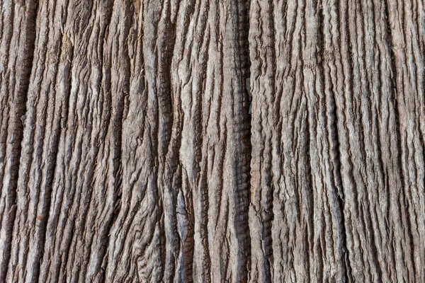 Vecchio Legno Texture Vintage Sfondo Naturale — Foto Stock